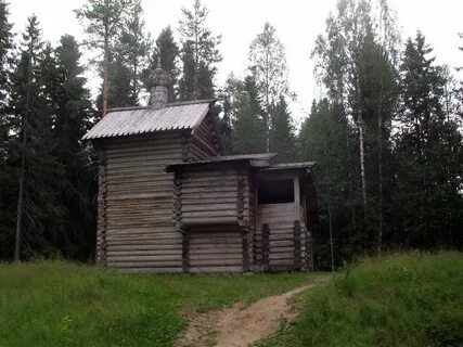 Погода в сосновке пинежский