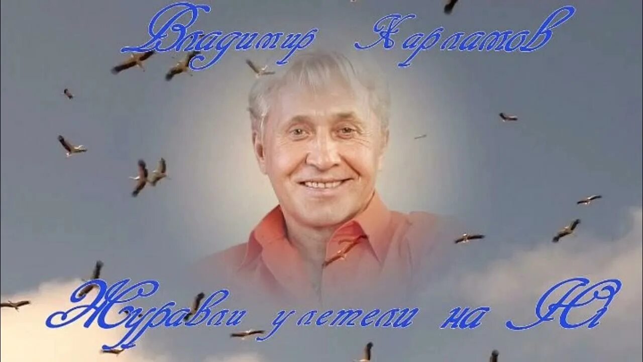 Стая журавлей в небе. Журавли песня на юг слушать. Журавли песня на юг слушать. Стая перелетных птиц. Журавли песня на юг слушать.