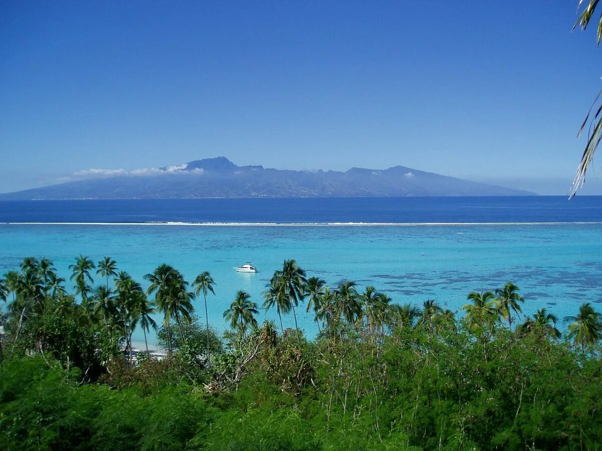 Отдых в австралии и океании. Таити Гавайи. Меланезия. Меланезия острова. Природа островов Океании.