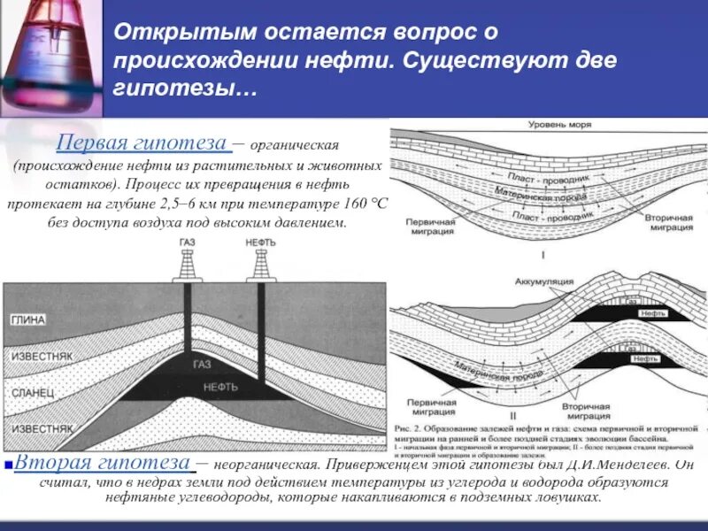 Формирование нефти и газа