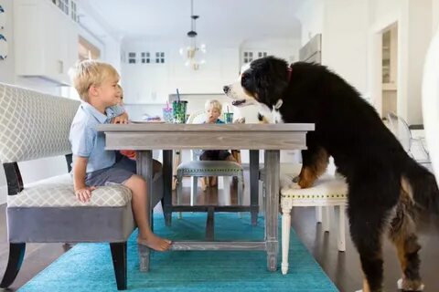 Looking at the table
