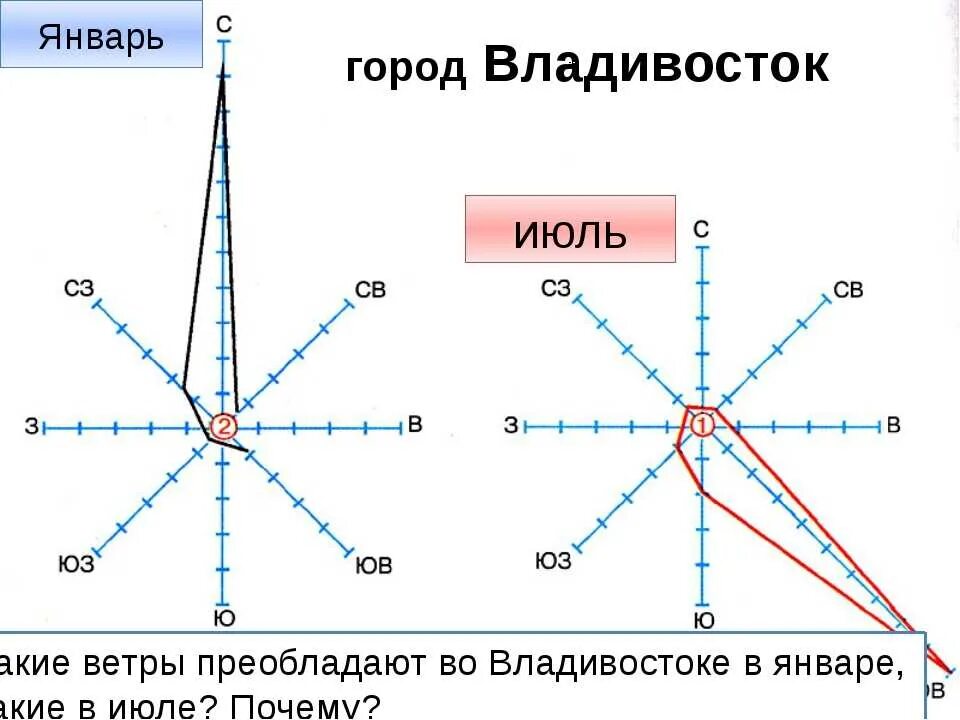 География 6 класс роща ветров.