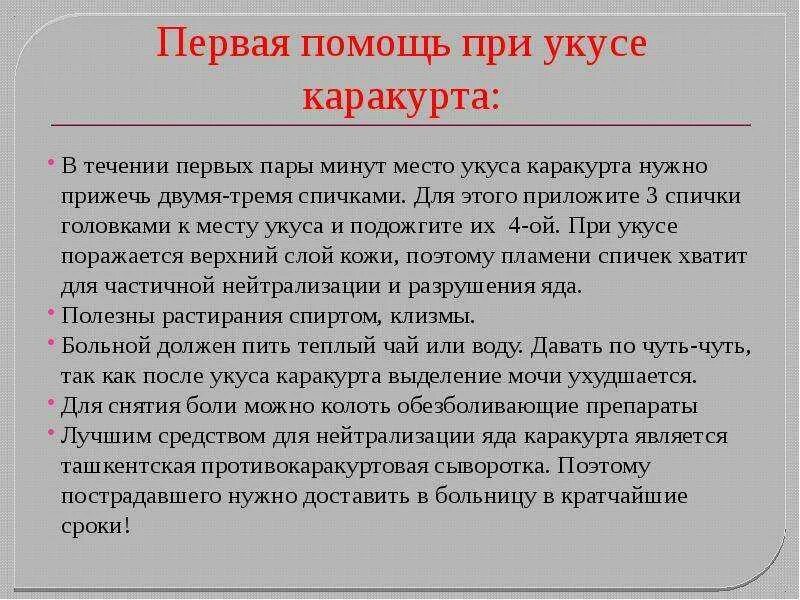 Паук ложный каракурт. Хелицеры каракурта. Что делать если укусил каракурт. Что делать если укусил каракурт. Что делать если укусил каракурт.