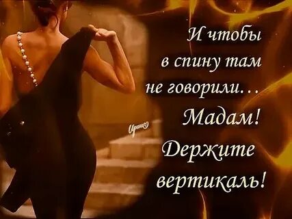 Не ищи меня мадам