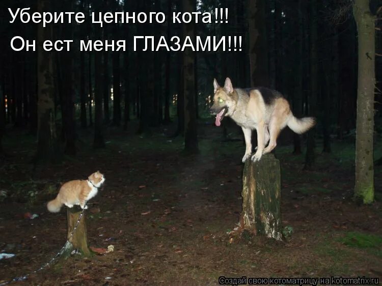 Человек не на своем месте. Даже если вы подходите это не значит что вы на своем месте картинки. Если человек не на своем месте. И даже самый сильный встретит свою слабость. Если вы подходите это не значит что вы на своем месте.