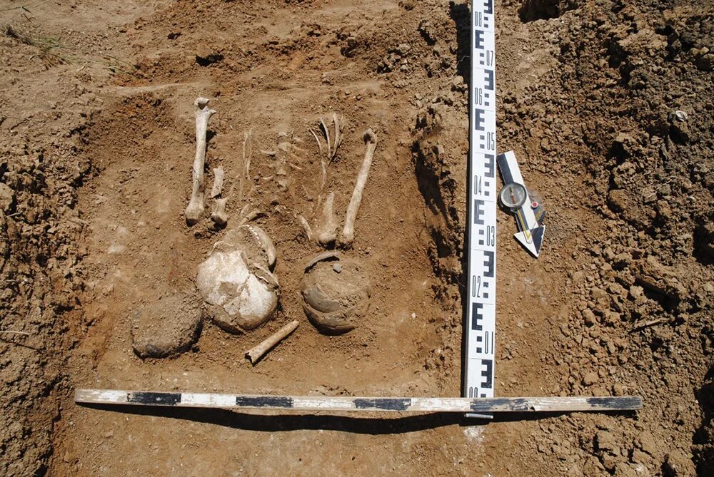 могильнике талды. могильник 2. остров могильник казахстан. археологические раскопки скелет. кайбельский могильник.