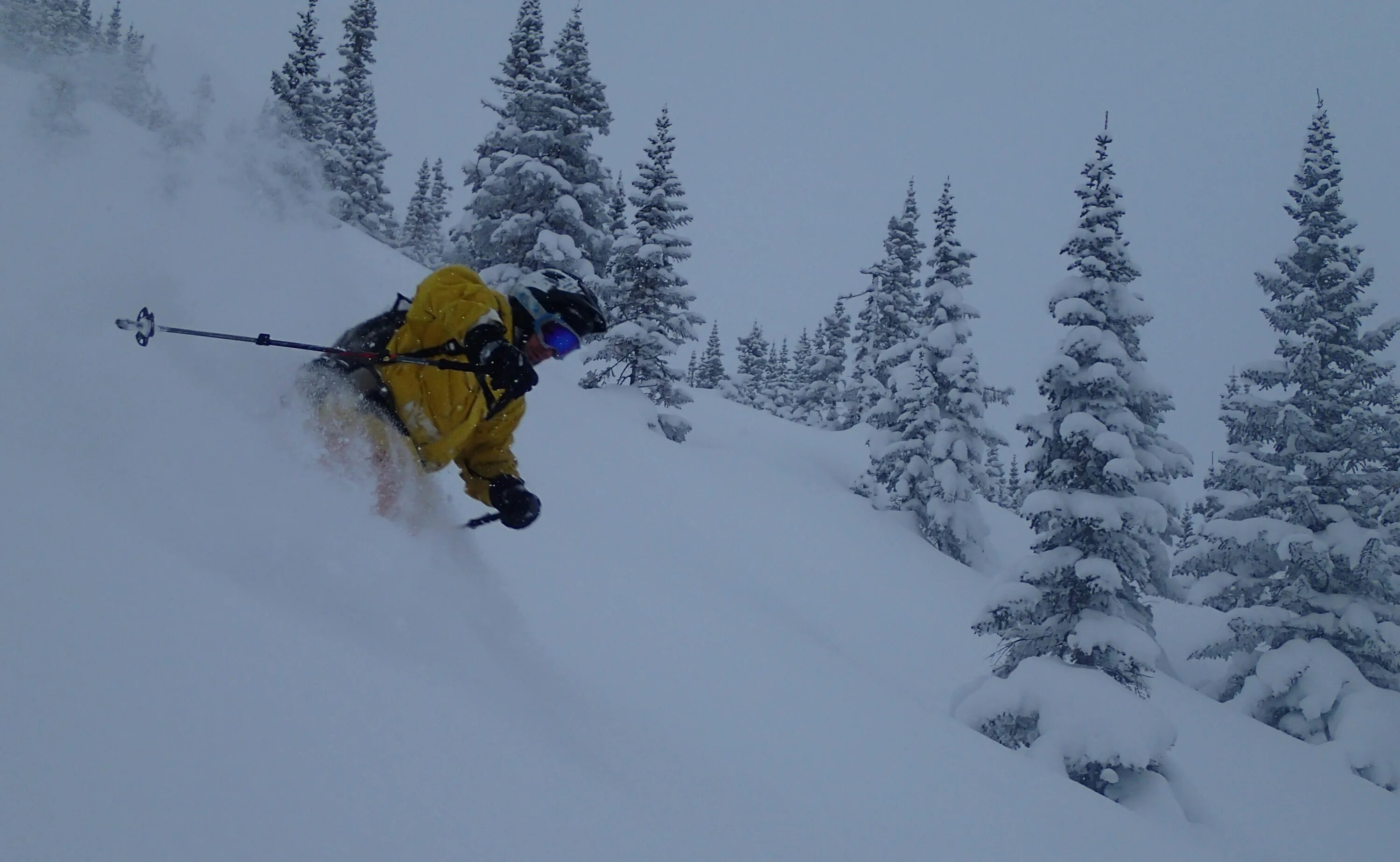 Степ аут. Степ аут. Группа stray kids. Double not stray kids. Хван хёнджин double knot.