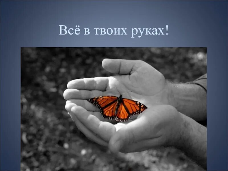 Все в твоих руках. Притча о бабочке в руках. Бабочка в твоих руках. Притча о мудреце и бабочке.