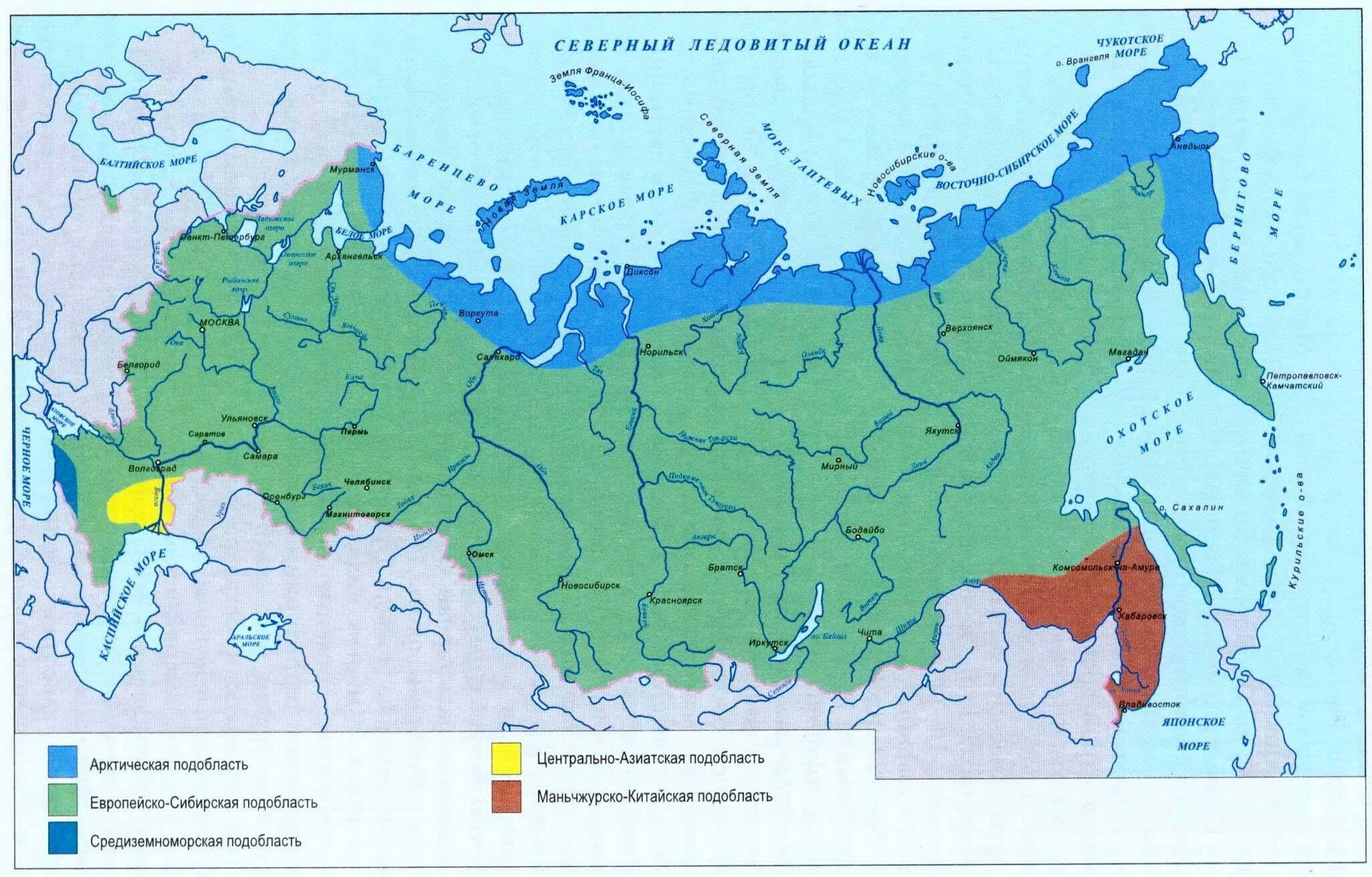 Географическое положение арктической тундры