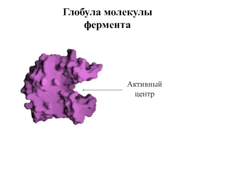 Какая молекула имеет форму глобулы. Глобула. глобулы бока. молекула фермента. глобулы теккерея.