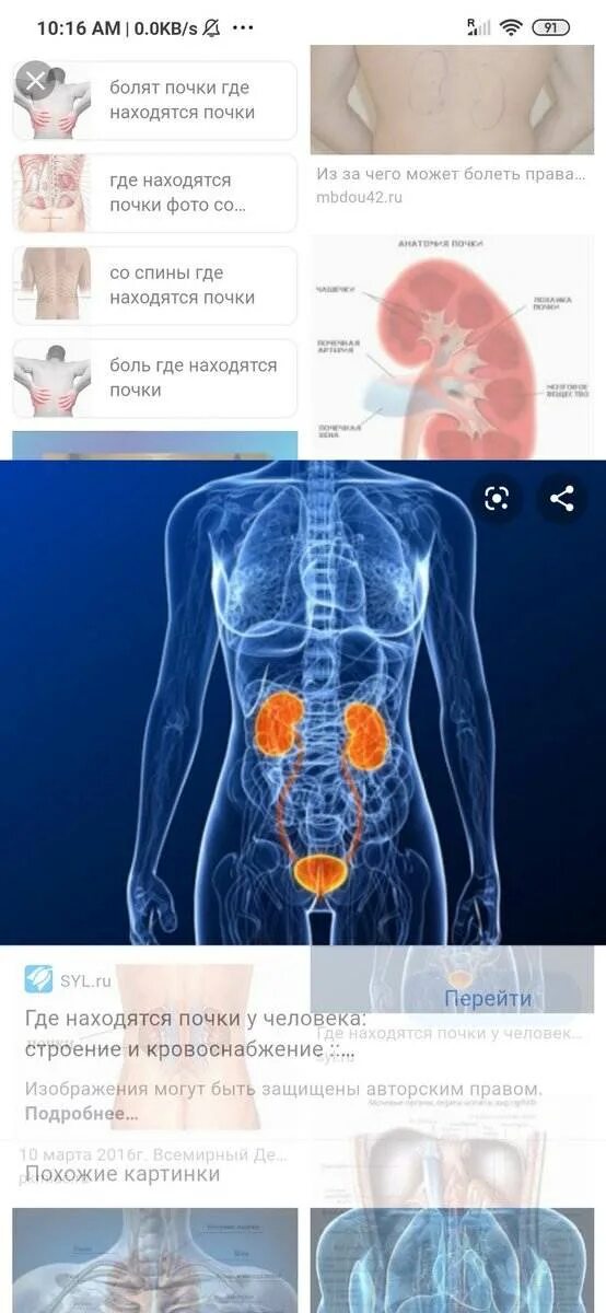 односторонние боли в поясничной области характерны для. как понять болит поясница или почки. боль в поясничной области почки. патология почек симптомы. как определить что болят почки у женщины.