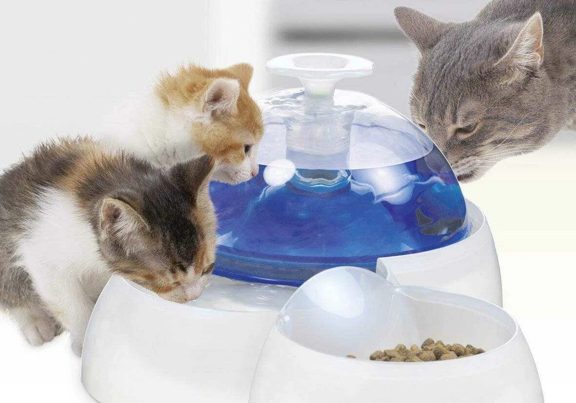 Catit Water Fountain. Посуда для кормления кошек. Питьё для котят. Самостоятельный котенок. Вскармливание котенка