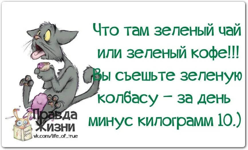 Колбаски минус. Что такое зелёная колбаса для похудения. Смешные пословицы для похудения. Анекдот про зеленую колбасу. Приколы про диету.