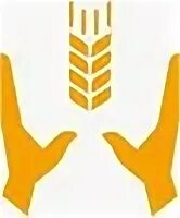 Зерно контакты