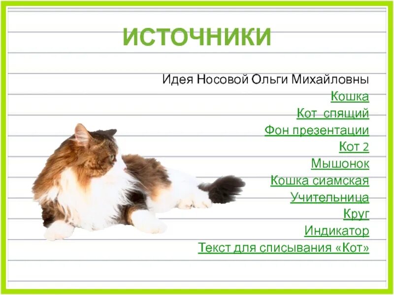 Предложения слов кошек. Текст для списывания про кота. Предложение про котика. Коты для презентации. Кот для презентации.