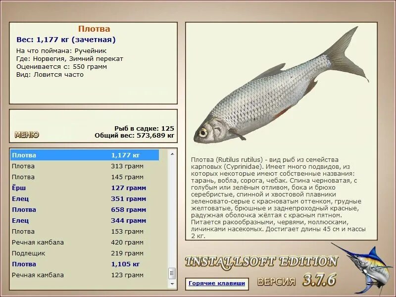 Плотва веса рыба. Трофейная плотва вес. Русская рыбалка 3 клязьма плотва. Русская рыбалка плотва ахтуба. Сколько весит плотва.