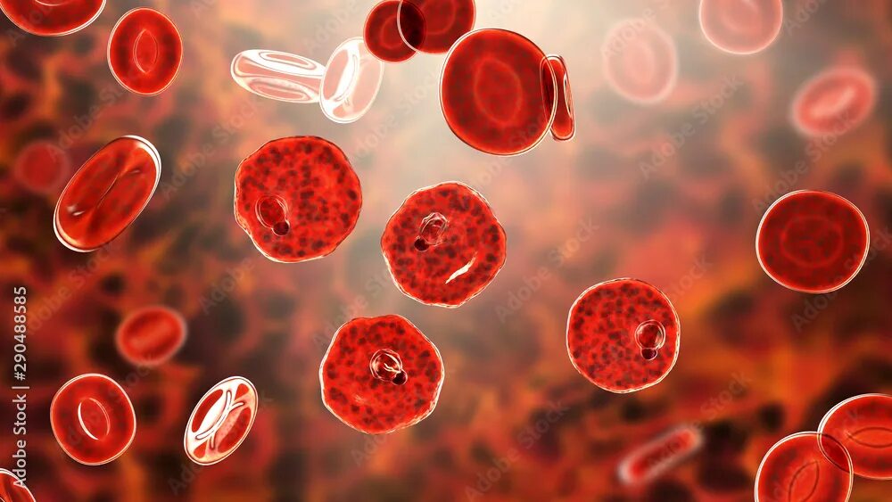 Cell 18