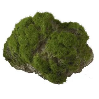 Мху 12