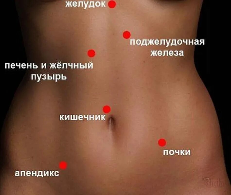 Боли в животе. Болит живот справа. Расположение боли в животе. Что справа внизу живота у женщин. Легкая боль в желудке