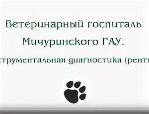 Мичуринский госпиталь. Ветеринарный госпиталь. Ветеринарный госпиталь Мичуринск. Ветеринарная клиника Мичуринск Герасимова 132а. Ветеринарный госпиталь Мичуринск на Герасимова.