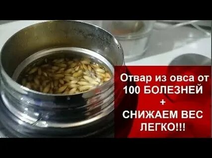 Как запаривать овес для питья для печени
