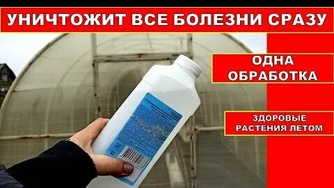 Перекись для обработки теплицы осенью
