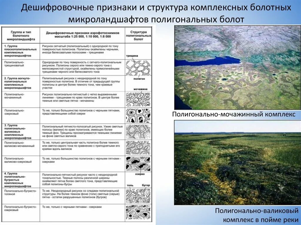 Признаки дешифрирования. Прямые признаки дешифрирования. Полигонально валиковые болота. Характеристика болот Западной Сибири.