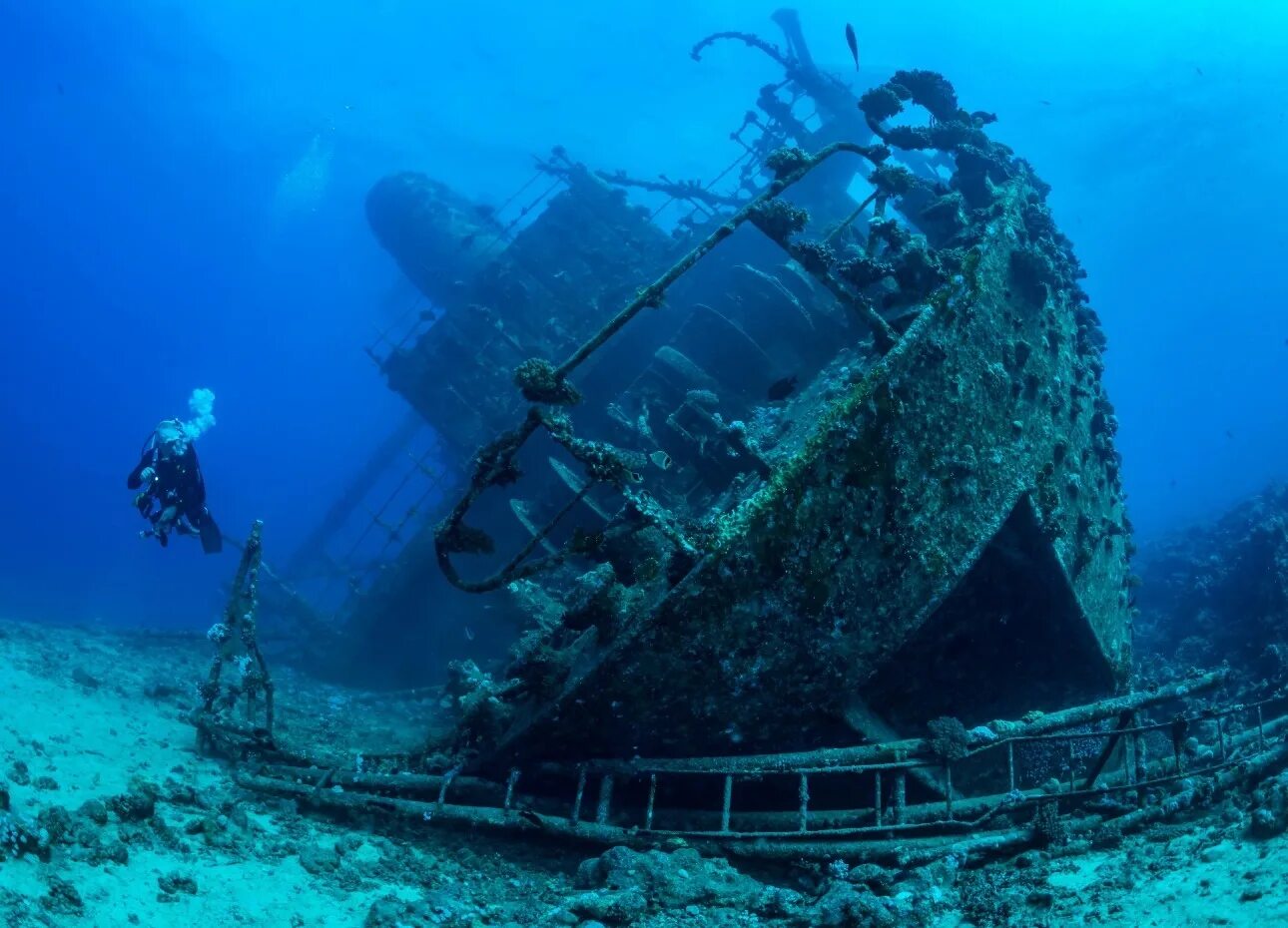 Затонувший корабль в Египте Тистлегорм. Корабль SS Thistlegorm, красное море. Корабль Giannis d, красное море. Риф Абу Нухас. Египет утонули