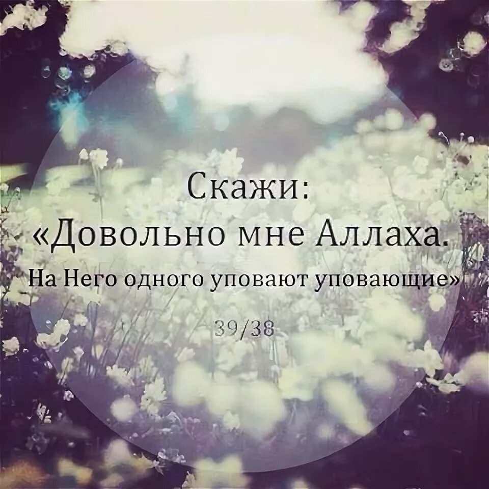 Мне достаточно то что ты есть. Мусульманские цитаты. достаточно мне аллаха цитаты. цитаты про аллаха. творение аллаха.