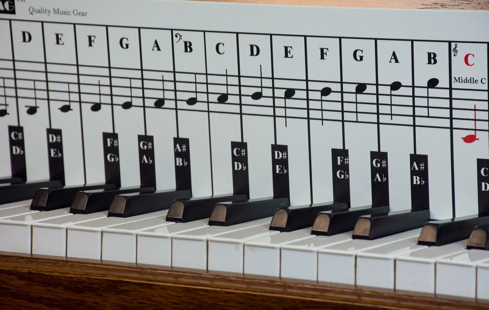 Dilwe musical scale cat. Пиано складная клавиатура. Клавиатура пианино. Фортепианная клавиатура. Клавиши фортепиано.