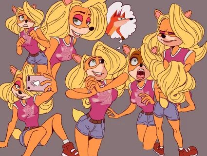 Crash tawna