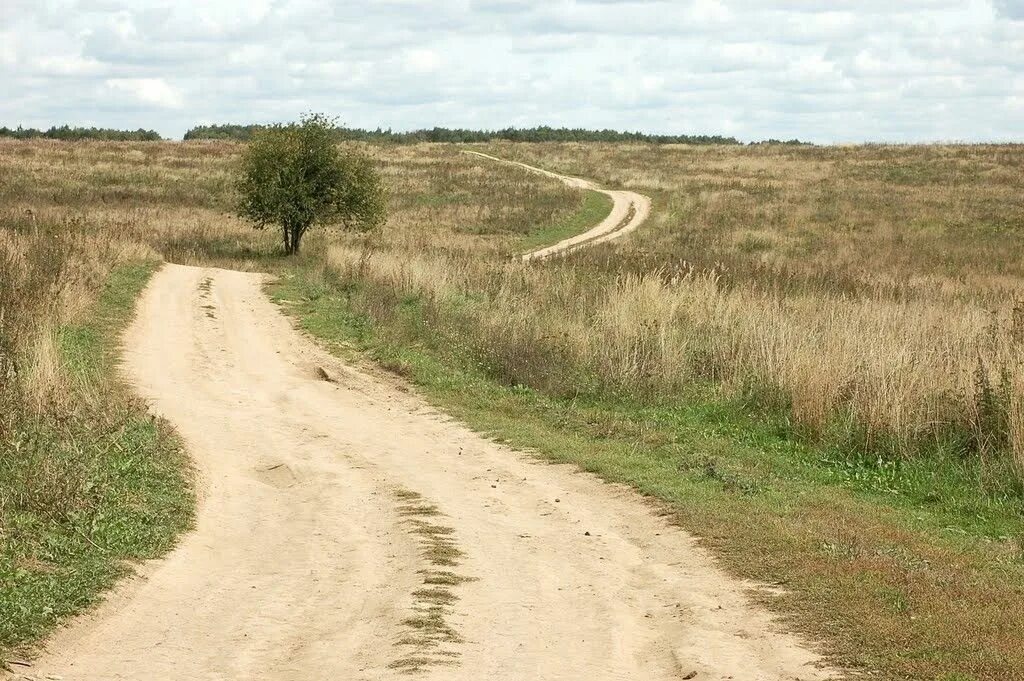 Грунтовая дорога. Проселочные дороги. Дорога в степи. Тропинка в степи.