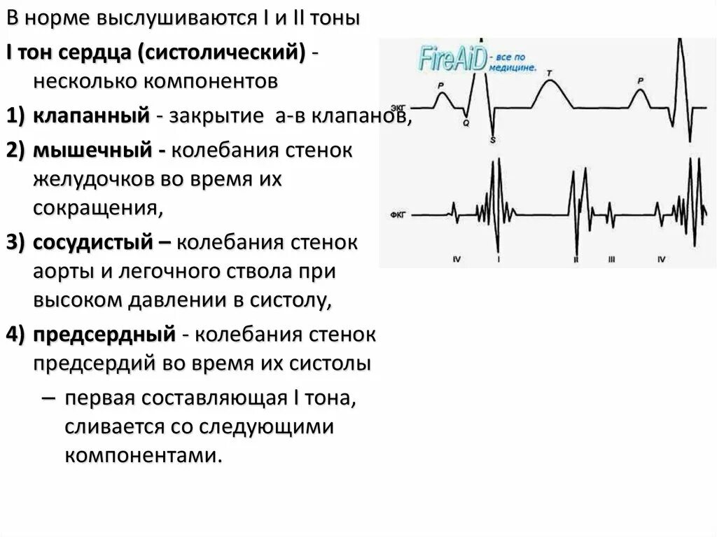 Тоны сердечного цикла. Внутрисердечная гемодинамика в фазах сердечного цикла. регуляция работы сердца. механограмма работы сердца. тест работа сердца.