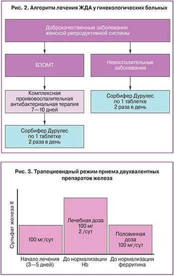 Анемия 2022