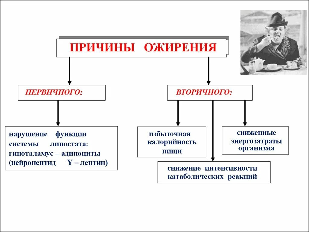 Первичное и вторичное обеспечение. Причины первичного ожирения. причины вторичного ожирения. причины развития вторичного ожирения. виды ожирения первичное и вторичное.