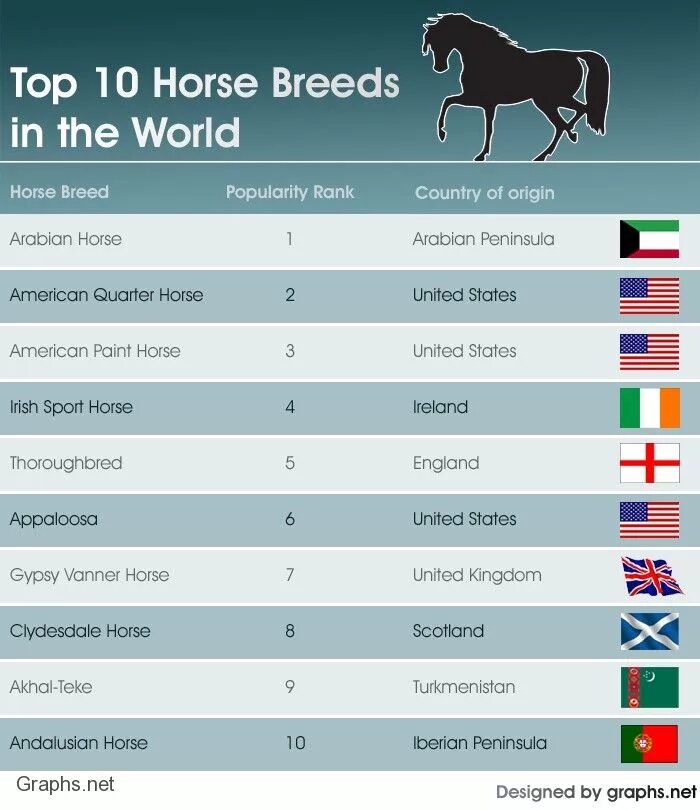 Сколько содержать лошадь. Страны по количеству лошадей. Коневодство страны Лидеры. Коневодство в мире страны Лидеры. Страны по поголовью лошадей.
