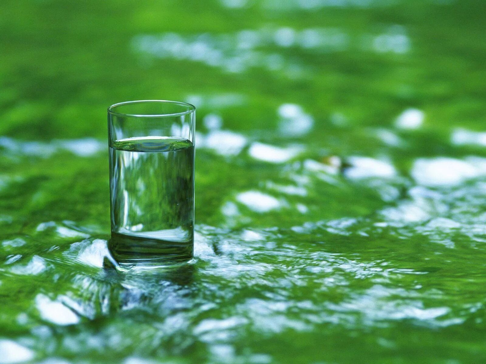 Чистая вода. Стакан воды на природе. Стакан воды. Стакан с зеленой водой