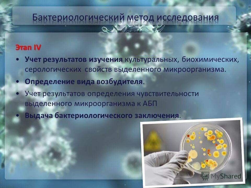 бактериологический метод микробиология. бактериологический метод исследования определение. этапы бактериологического метода исследования. первый этап бактериологического метода исследования:. этапы бактериологического метода исследования микробиология.