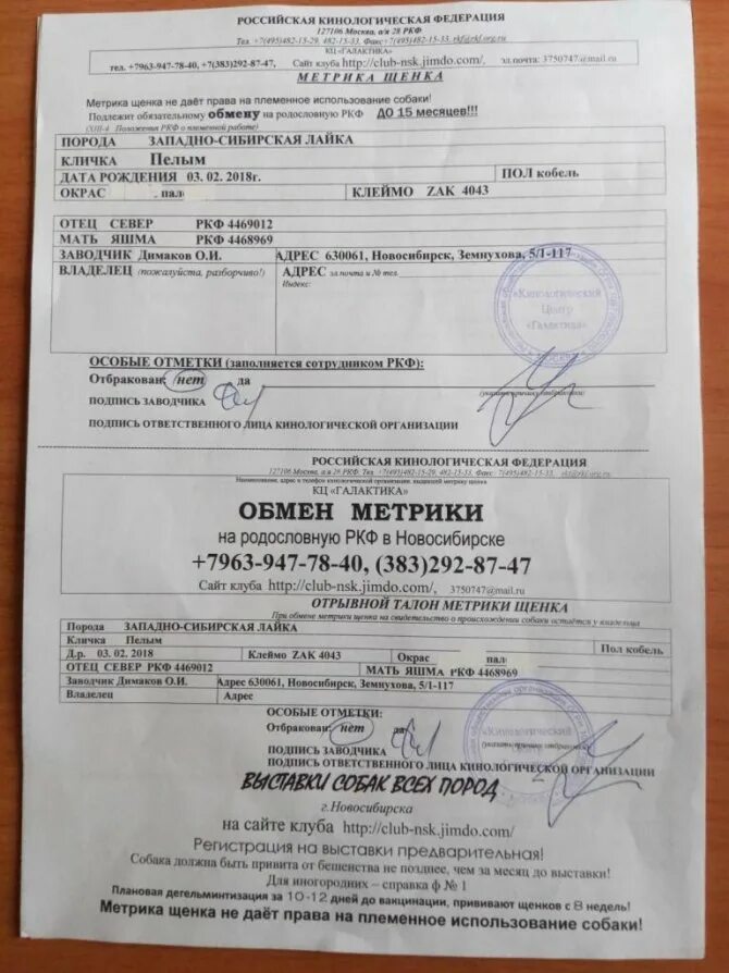 Щенячку на родословную