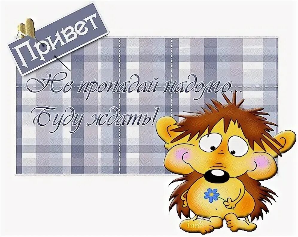 Привет ау. Привет куда пропал картинки прикольные. Стикер приветик. Куда пропал картинки. Ты куда пропал картинки.