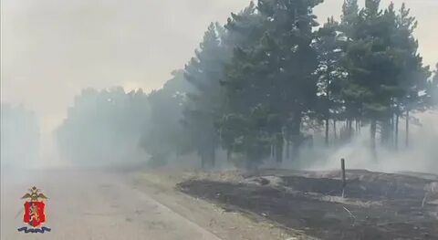 Погода в зеленом на 10 дней