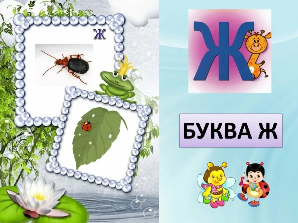 Собственный ж