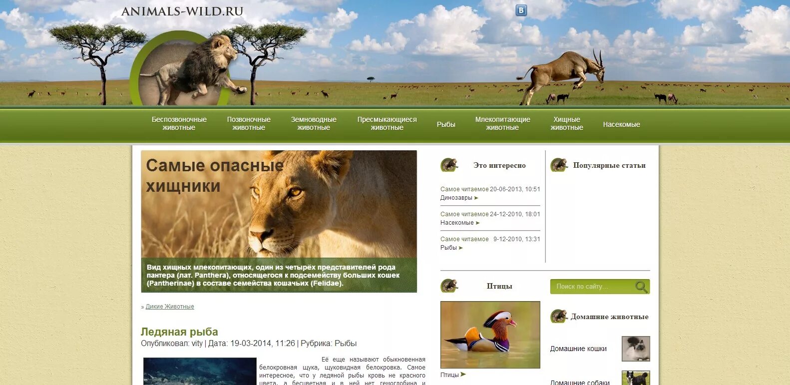 6 разработка сайта животный мир. Веб сайты. Работа 2. Шаблон сайта. Сайты про животных.