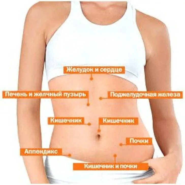 Колит под грудью с право. Что находится в левом боку. Дискомфорт с левой стороны живота. Органы справа в дивоет. С левой стороны.