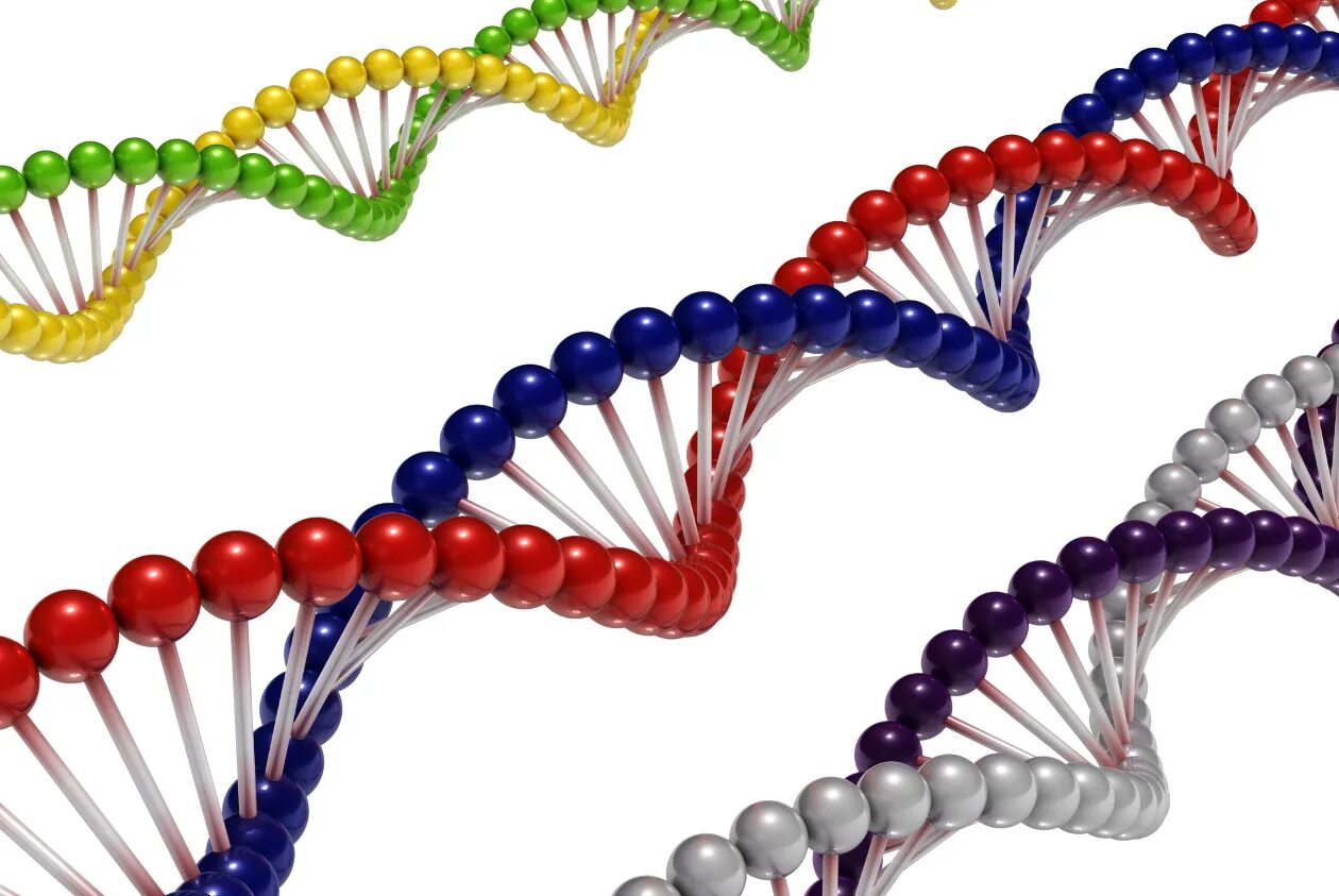 Цепочка ДНК DNA. Цепочка ДНК человека. Цепочка ДНК картинки. Цепочка ДНК из шаров.