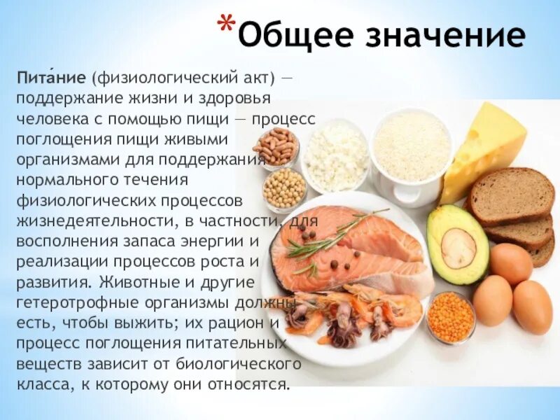 Значение питания ответ. Значение питания ответ