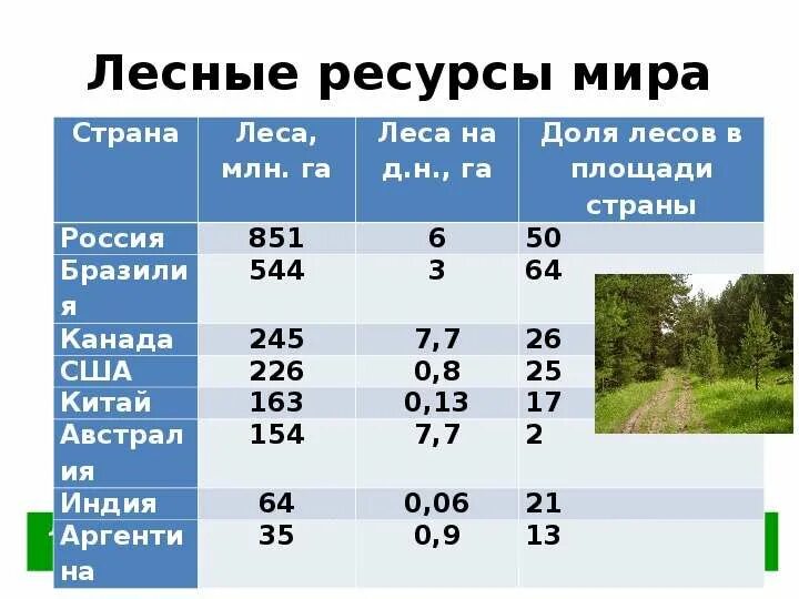Мировые Лесные ресурсы. Таблица лесных ресурсов. Лесные ресурсы России. Лесные ресурсы таблица.