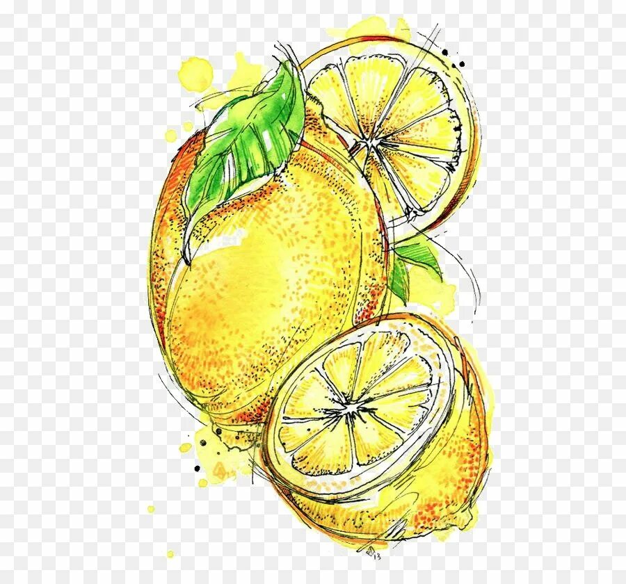 Мультяшная долька апельсина. Мандарин вектор. Апельсин графика. Апельсин графика. Апельсин вектор.