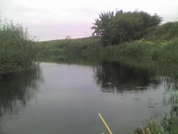 Чамлык липецкая область. С чамлык никольское. Талицкий чамлык добринский. Чамлык село. Село талицкий чамлык.