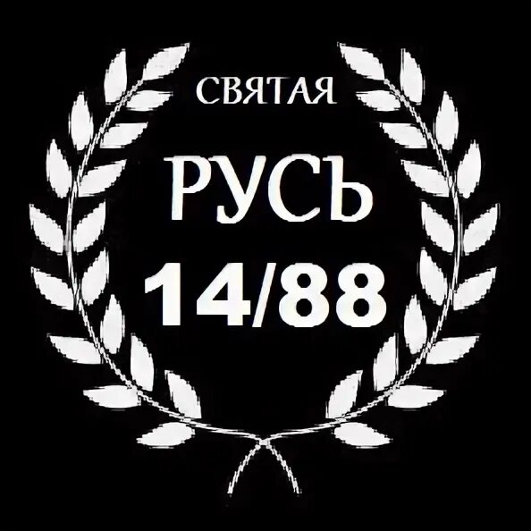 1488 значение этих чисел. 14 88 Расшифровка. Надпись 14 88. 14/88.